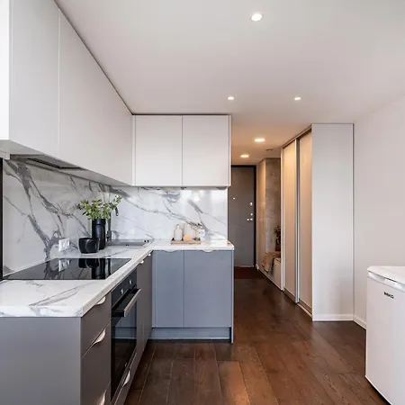 Modern Loft Walk To Center Fast Wi-fi Wilna