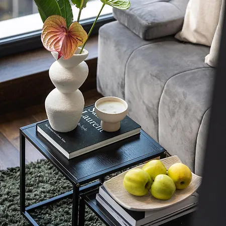 Modern Loft Walk To Center Fast Wi-fi 维尔纽斯